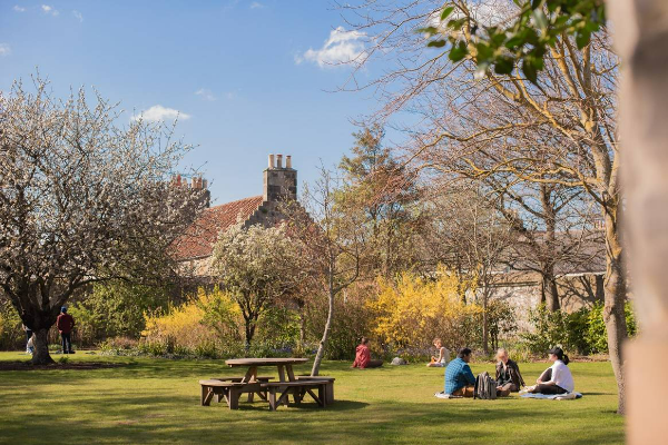 postgraduate students studying in the sun